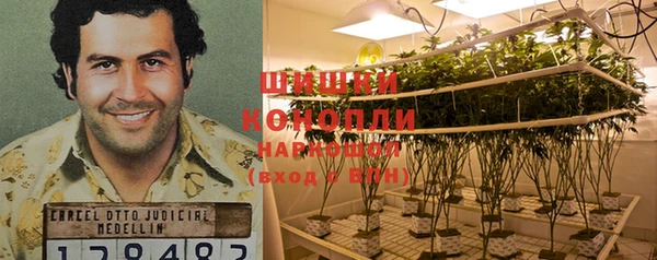 амф Няндома