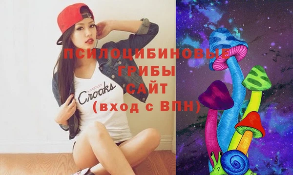 амф Няндома