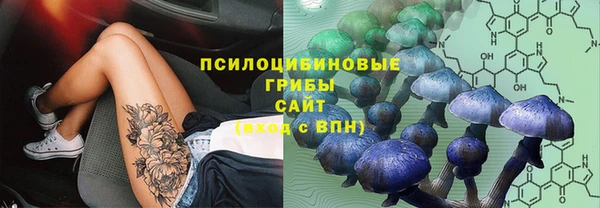 spice Нязепетровск