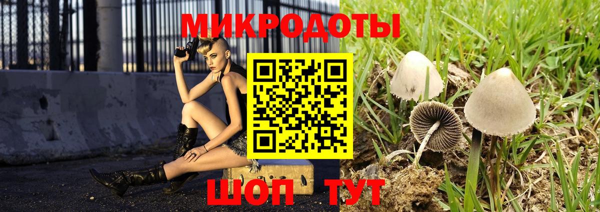 Галлюциногенные грибы мухоморы Усолье-Сибирское