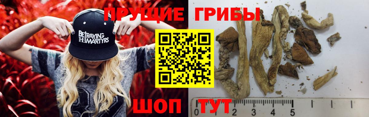 Усолье-Сибирское  Галлюциногенные грибы Psilocybe  Псилоцибиновые грибы прущие грибы  Вход с VPN 